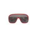 Dior Shield Sunglasses — Red