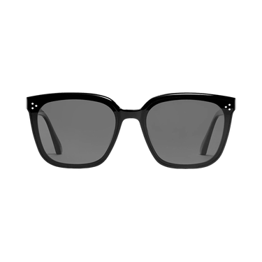 Gentle Monster Palette 01 Sunglasses — Black