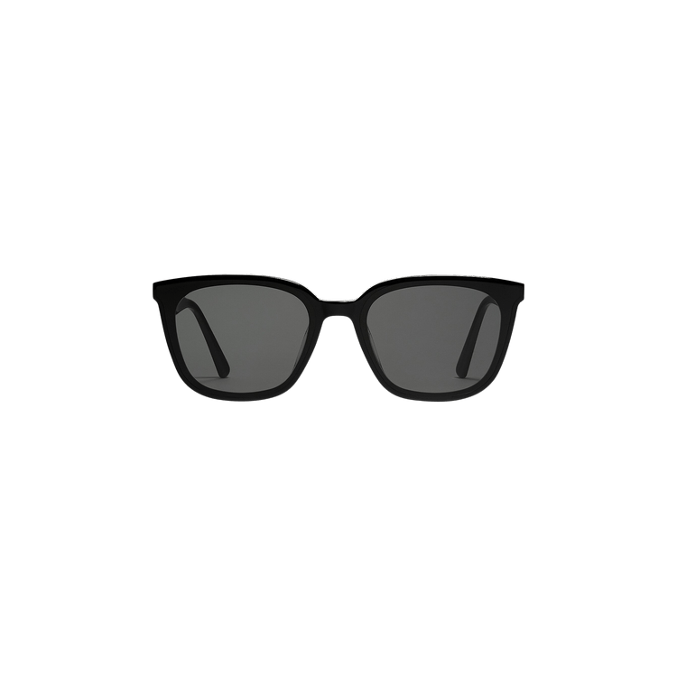 Gentle Monster Tam 01 Sunglasses — Black