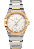 omega-constellation-omega-co-axial-master-chronometer-39-mm-steel-and-yellow-gold-case-silvery-dial-131-20-39-20-02-002