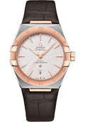omega-constellation-omega-co-axial-master-chronometer-39-mm-steel-and-sedna-gold-case-silvery-dial-brown-leather-strap-131-23-39-20-02-001