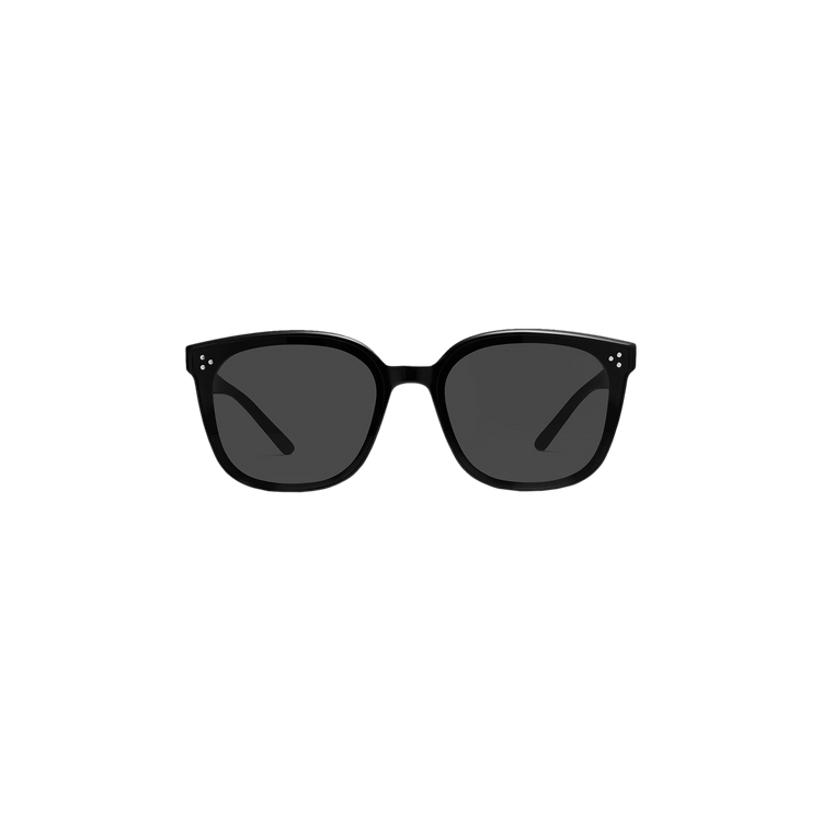 Gentle Monster By 01 Sunglasses — Black