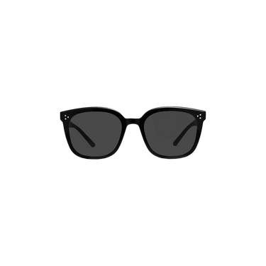 Gentle Monster By 01 Sunglasses — Black