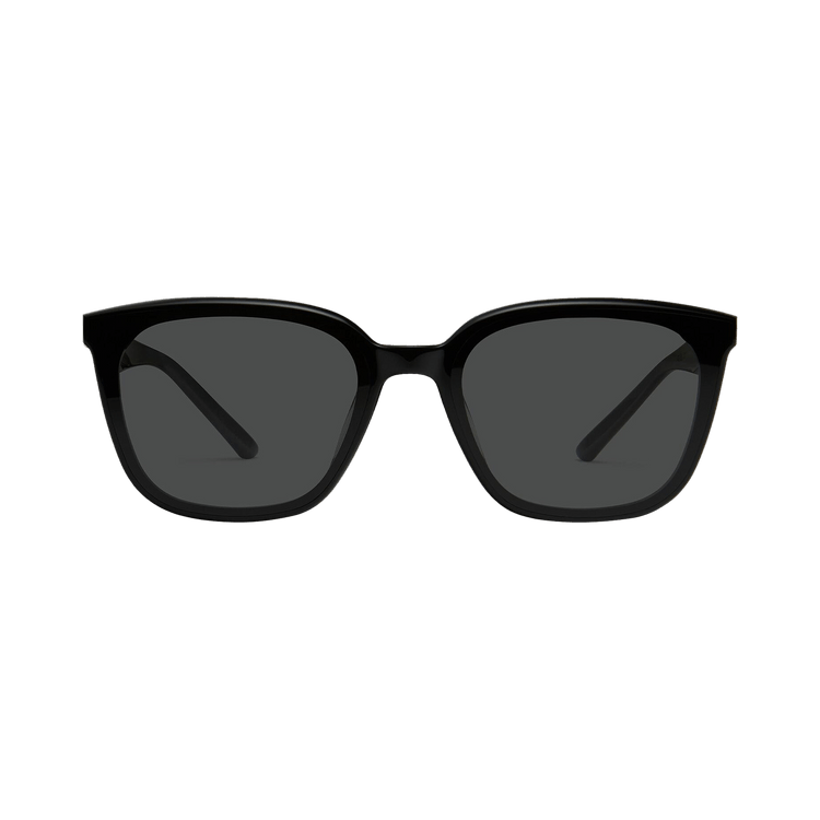 Gentle Monster Pino 01 Sunglasses — Black