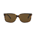 Saint Laurent Square Sunglasses — Black – Trevalie Brown 599 004