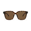 Balenciaga Square Sunglasses — Brown – Havana BB0152SA 002
