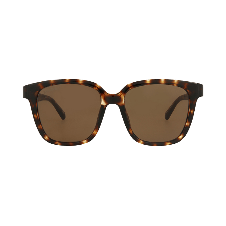 Balenciaga Square Sunglasses — Brown – Havana BB0152SA 002