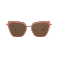 Valentino Cat Eye Frame Acetate/Metal Sunglasses — Pink