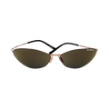 Balenciaga Sunglasses — Brown – BB0350S Brow