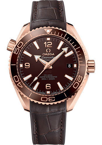 omega-planet-ocean-600m-co-axial-master-chronometer-watch-39-5-mm-sedna-gold-case-unidirectional-brown-cermaic-bezel-chocolate-brown-dial-brown-leather-strap-215-63-40-20-13-001