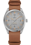 omega-seamaster-railmaster-omega-co-axial-master-chronometer-watch-40-mm-steel-case-vertically-brushed-grey-dial-brown-leather-nato-strap-220-12-40-20-06-001