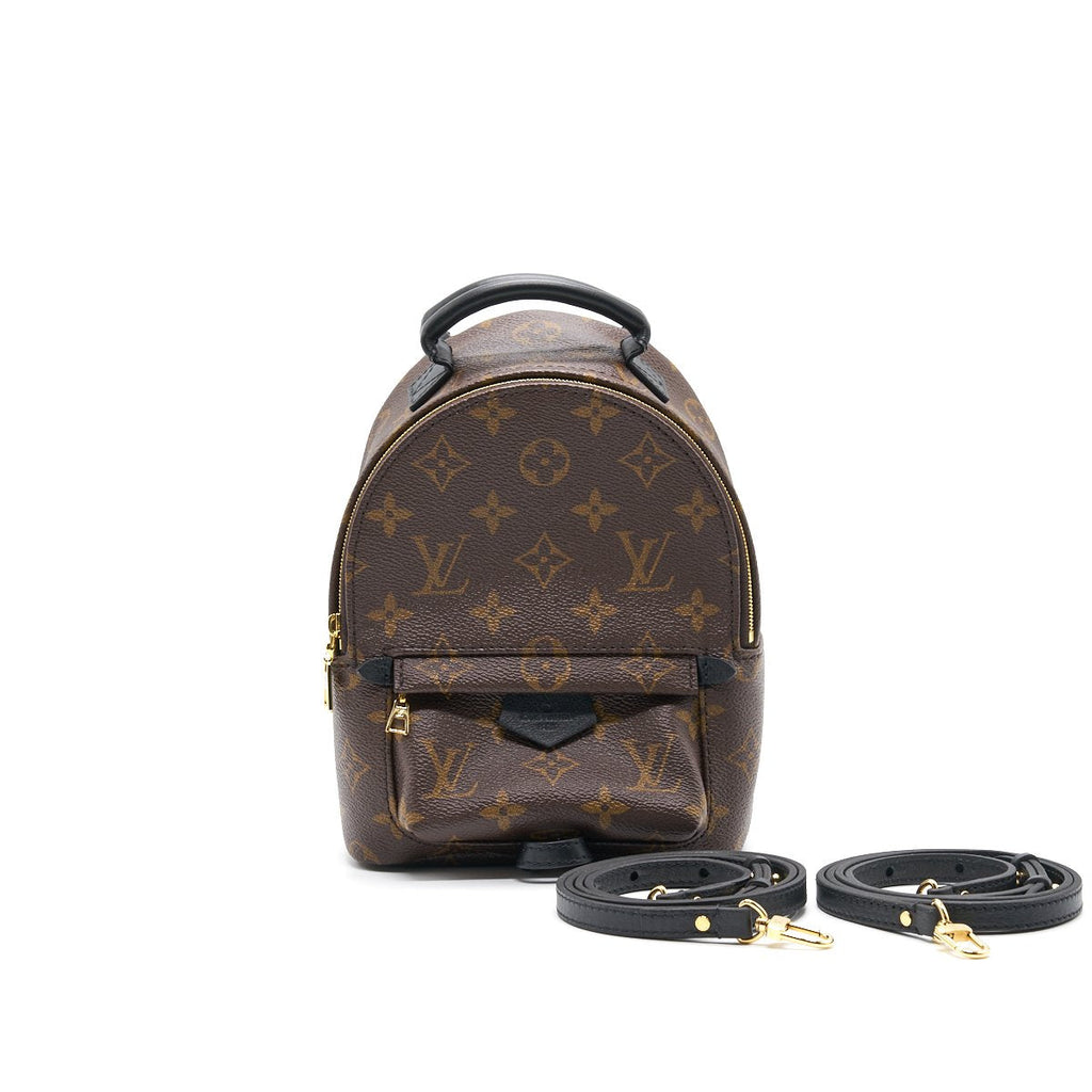 louis-vuitton-palm-springs-mini-3