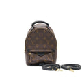louis-vuitton-palm-springs-mini-3