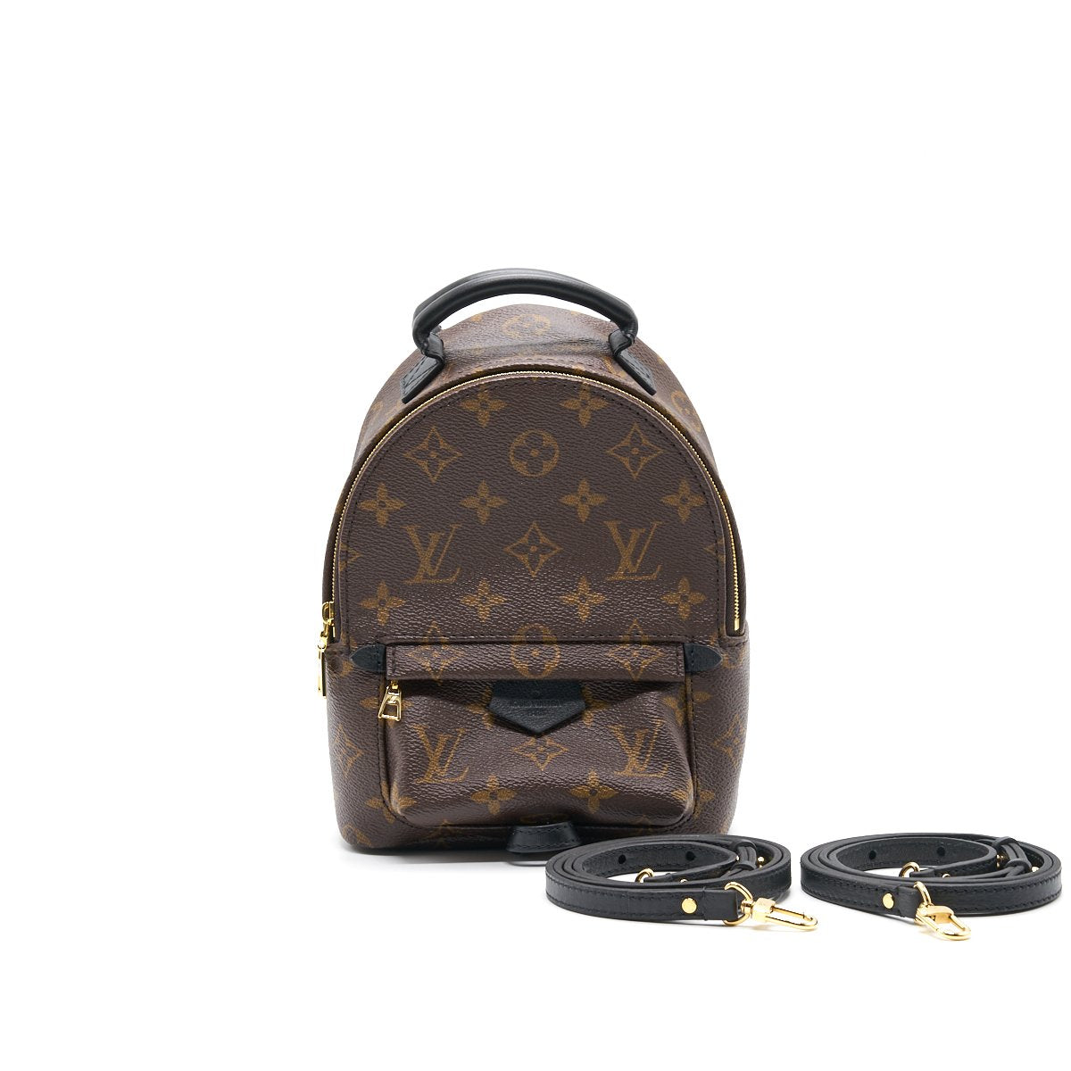 louis-vuitton-palm-springs-mini-3
