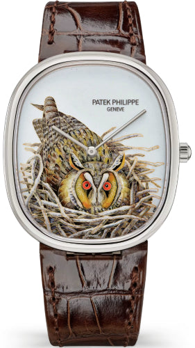 patek-philippe-golden-ellipse-5738-white-gold-brown-owl-5738-50g-049-2026
