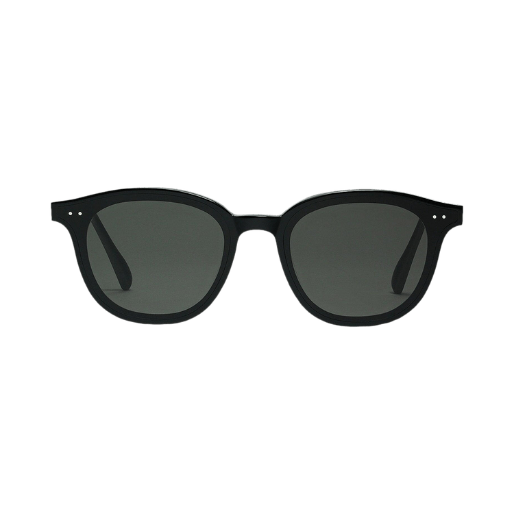 Gentle Monster Lang 01 Sunglasses — Black