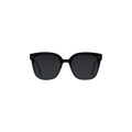 Gentle Monster Rick 01 Sunglasses — Black
