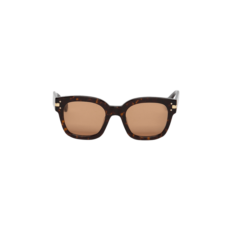Amiri Classic Logo Sunglasses — Brown – Tortoise 211 Tort