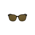 Balenciaga Oversized Square Acetate Sunglasses — Brown