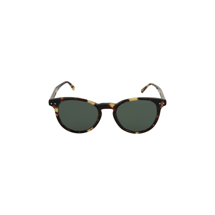 Bottega Veneta Round Frame Acetate Sunglasses — Brown – BV0128S 30001665 003