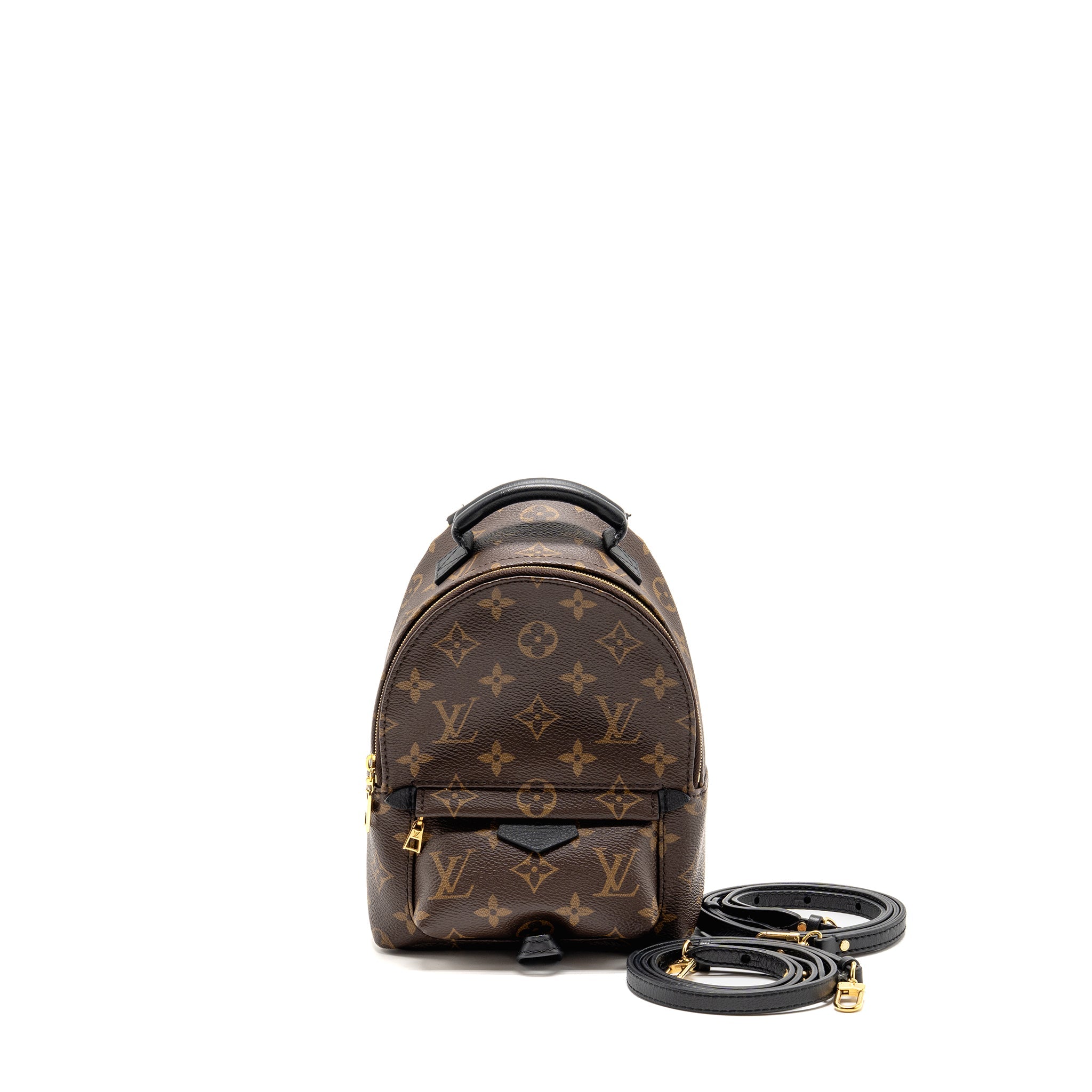louis-vuitton-palm-springs-mini-monogram-canvas-ghw-1