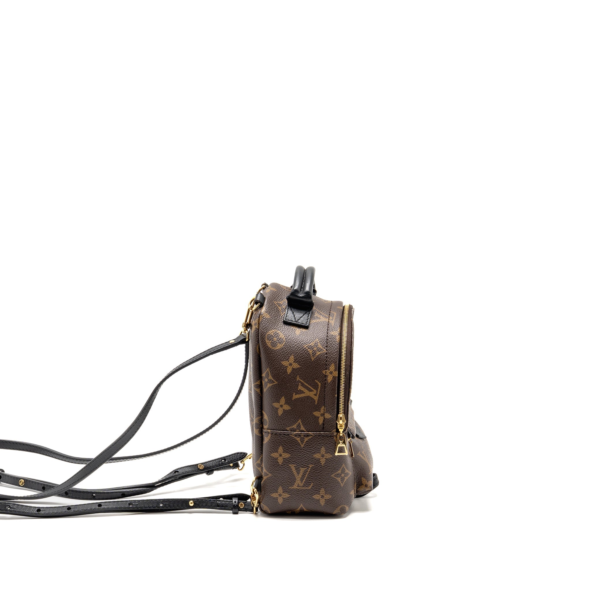 louis-vuitton-palm-springs-mini-monogram-canvas-ghw-1