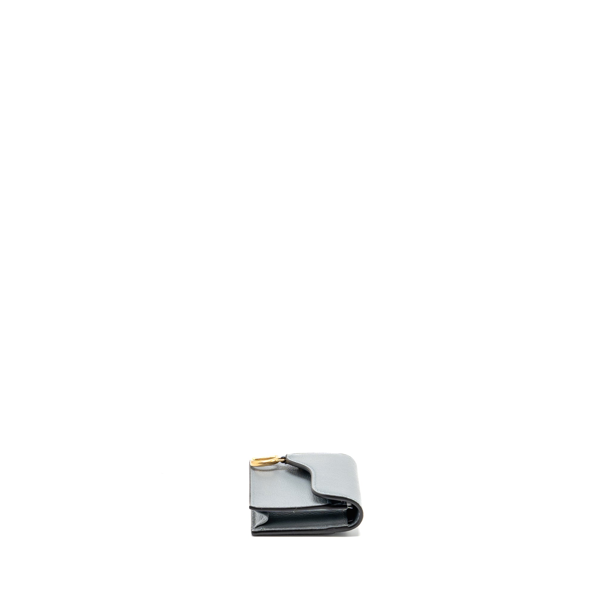 dior-saddle-bloom-card-holder-goatskin-cloud-blue-ghw