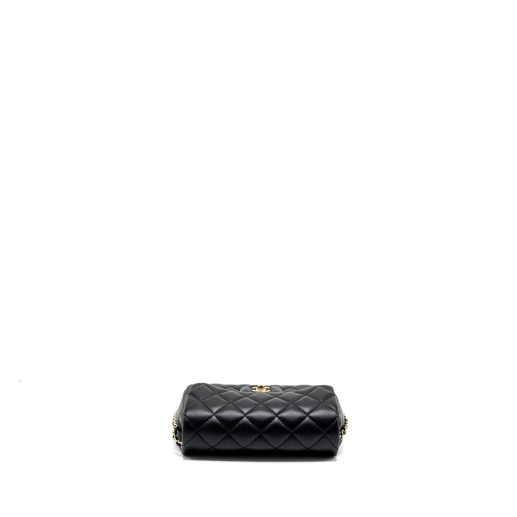 chanel-quilted-flap-bag-with-pearl-chain-lambskin-black-lghw