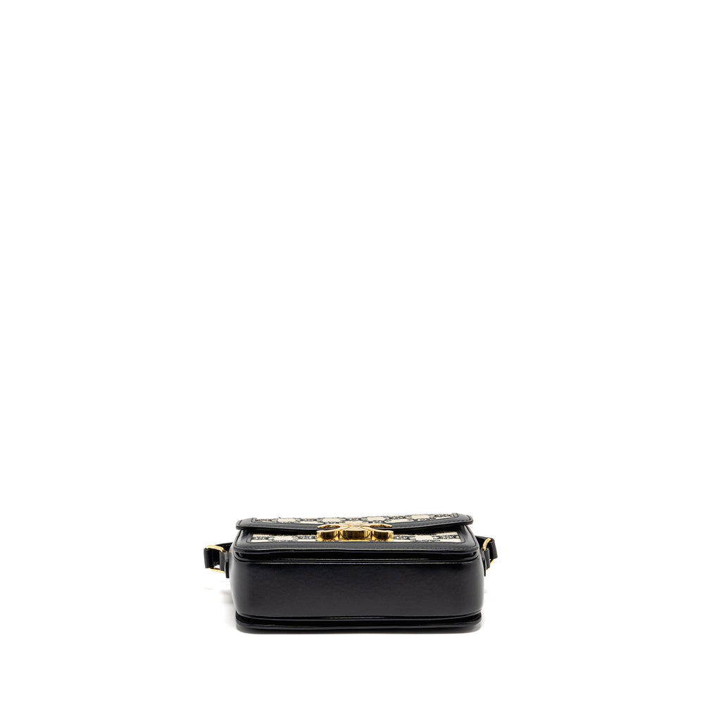 celine-teen-triomphe-bag-triomphe-canvas-calfskin-black-white-ghw-copy