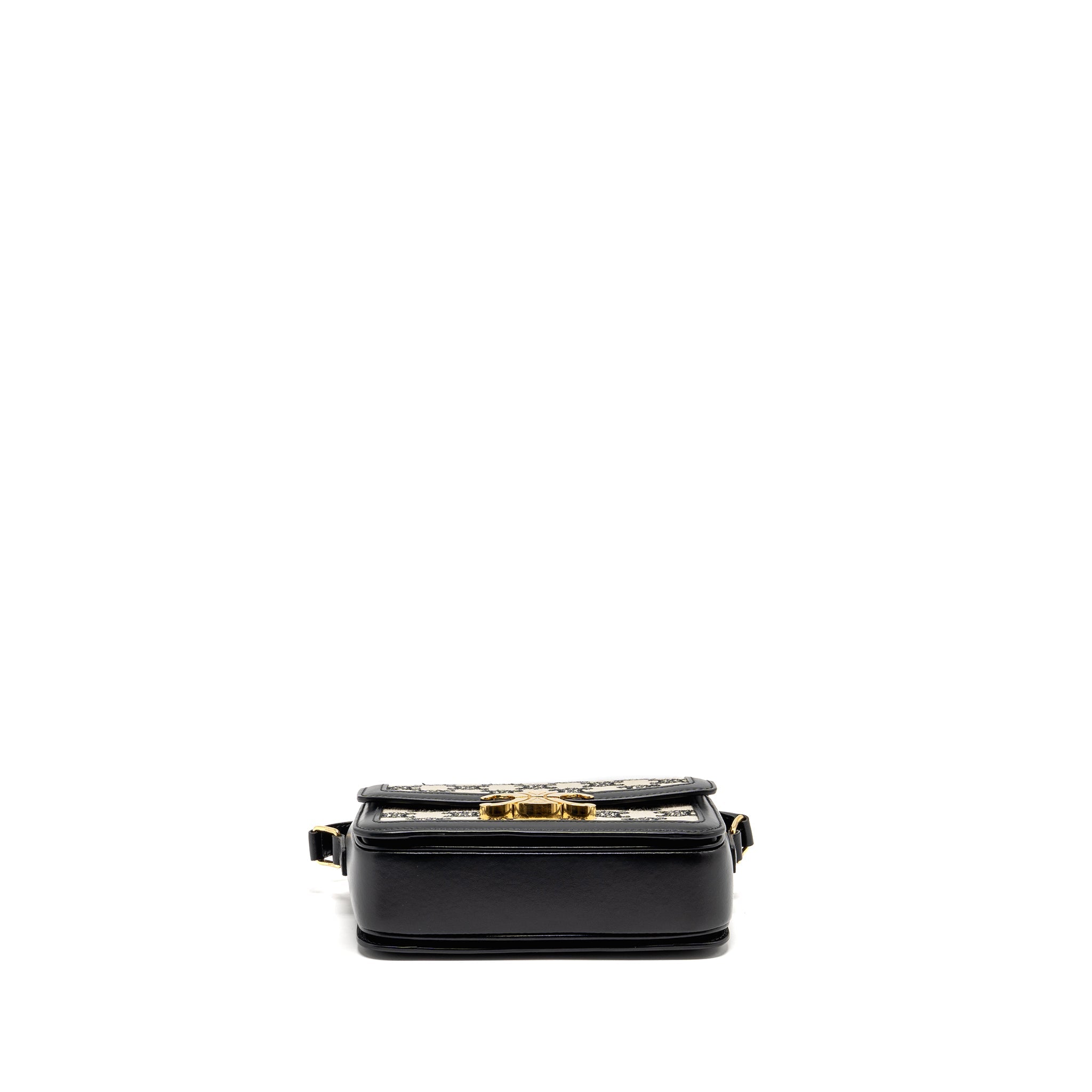 celine-teen-triomphe-bag-triomphe-canvas-calfskin-black-white-ghw-copy