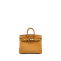copy-of-hermes-birkin-25-togo-caramel-lime-shw-stamp-y