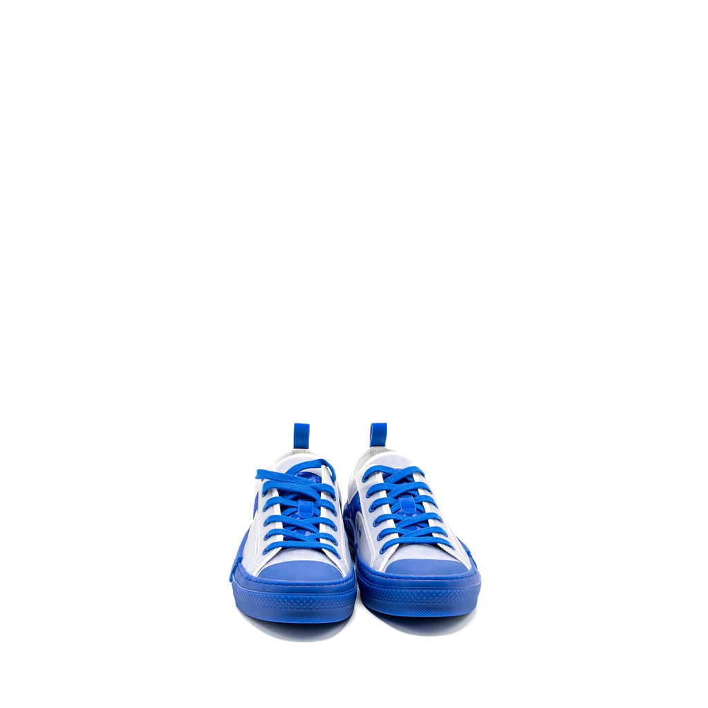 dior-size-44-b23-low-top-sneaker-blue-oblique-copy