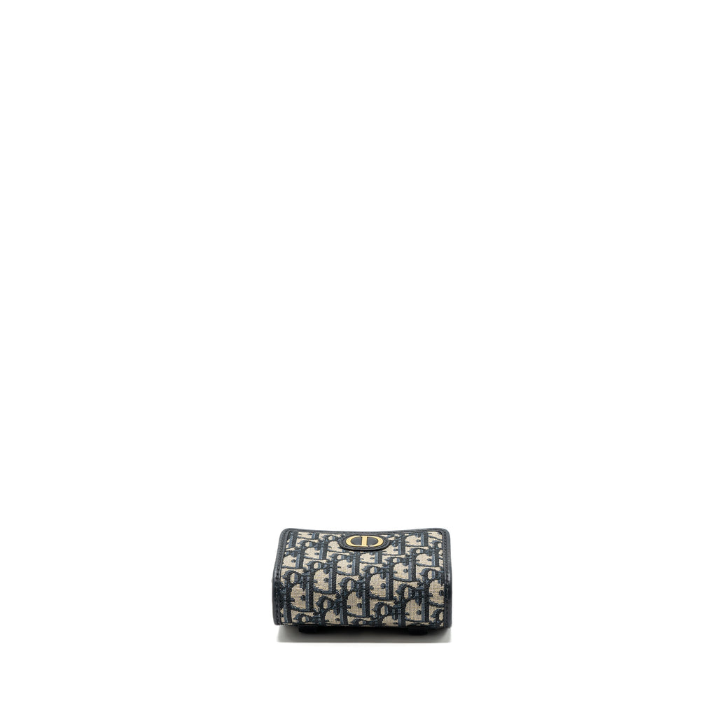 dior-30-montaigne-pouch-with-chain-canvas-blue-oblique-ghw