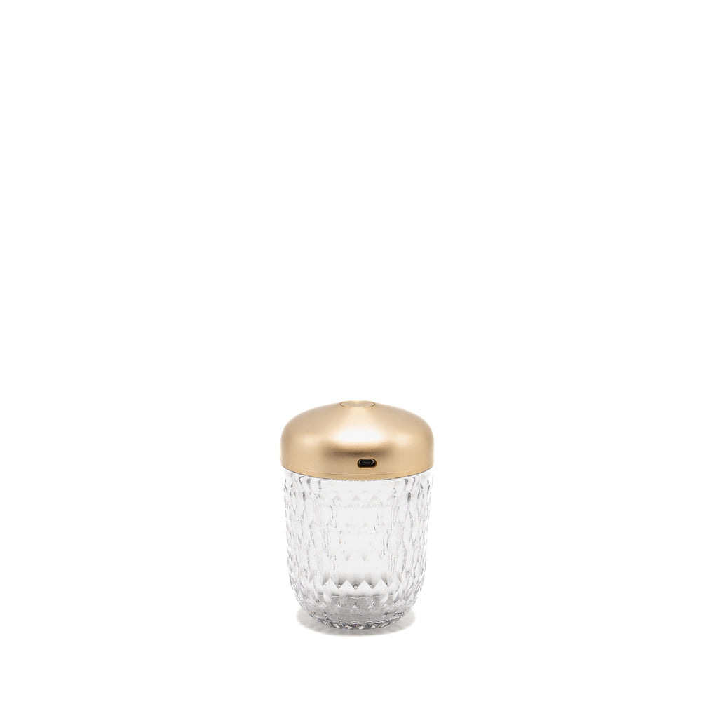 hermes-x-saint-louis-folia-mini-portable-crystal-lamp-lghw-copy