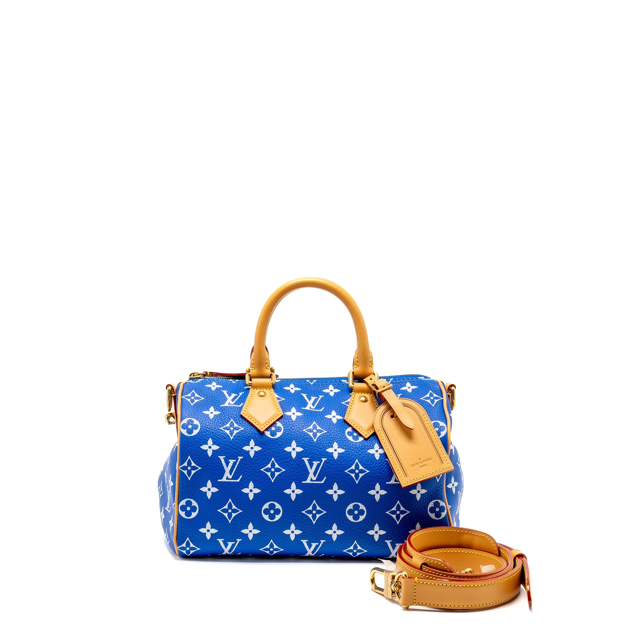 louis-vuitton-speedy-25-blue
