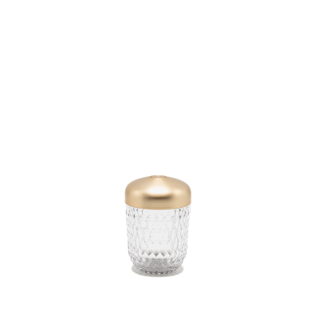 hermes-x-saint-louis-folia-mini-portable-crystal-lamp-lghw-copy
