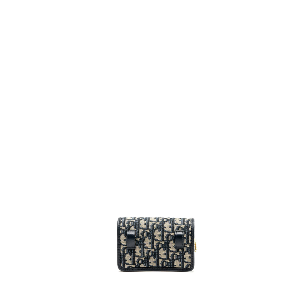 dior-30-montaigne-pouch-with-chain-canvas-blue-oblique-ghw