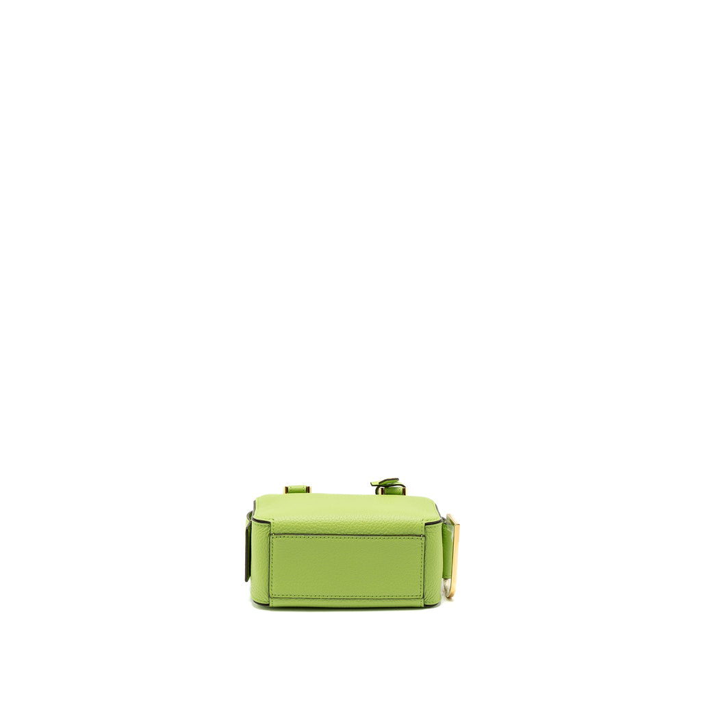 delvaux-cool-box-nano-taurillon-soft-calfskin-aloe-ghw