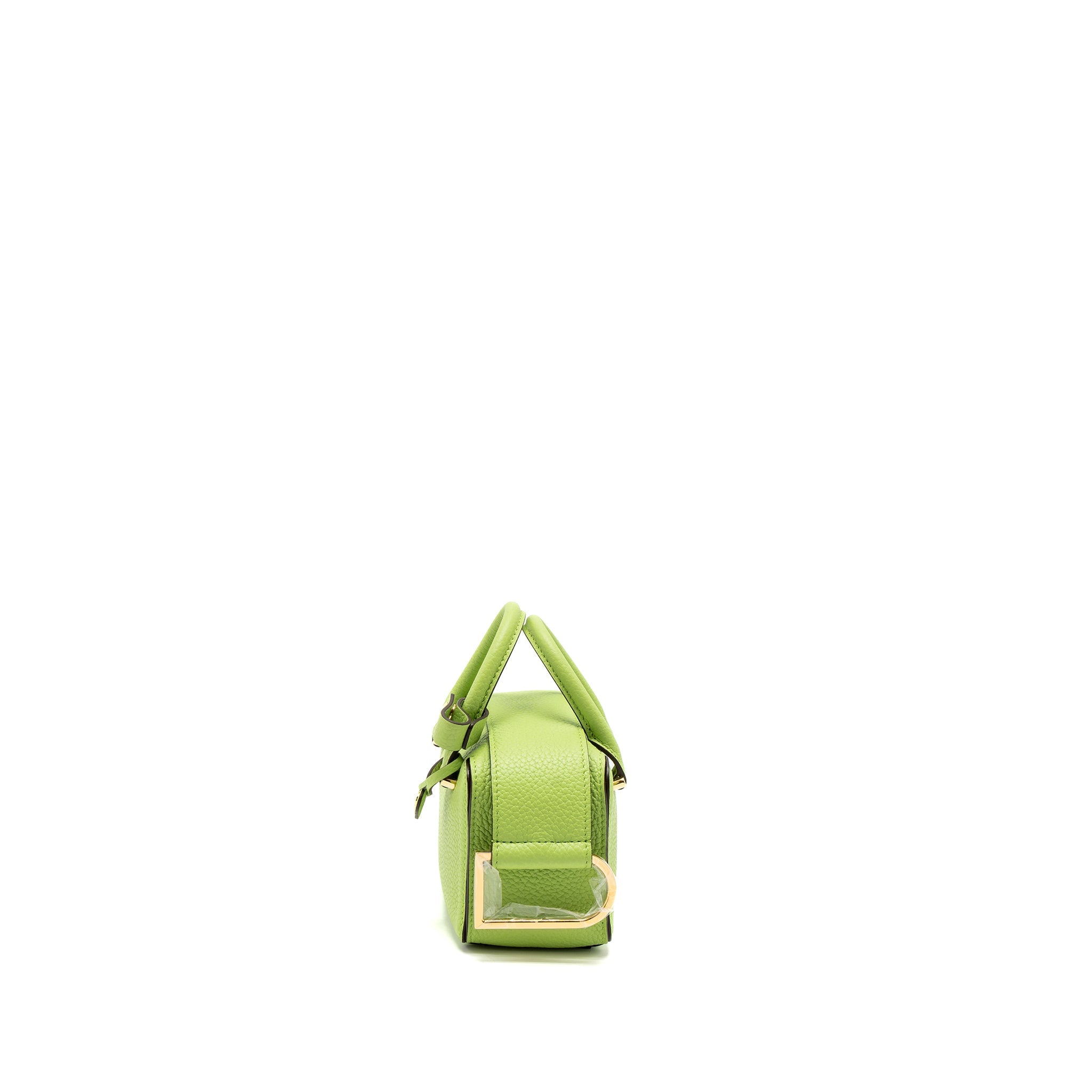 delvaux-cool-box-nano-taurillon-soft-calfskin-aloe-ghw