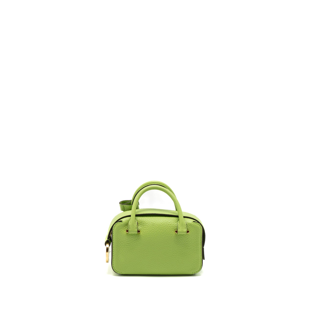 delvaux-cool-box-nano-taurillon-soft-calfskin-aloe-ghw