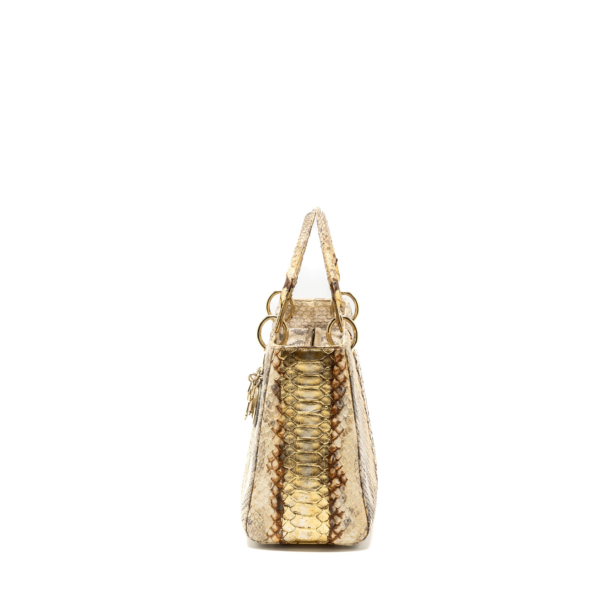 dior-medium-lady-dior-python-multicolour-lghw