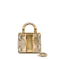 dior-medium-lady-dior-python-multicolour-lghw