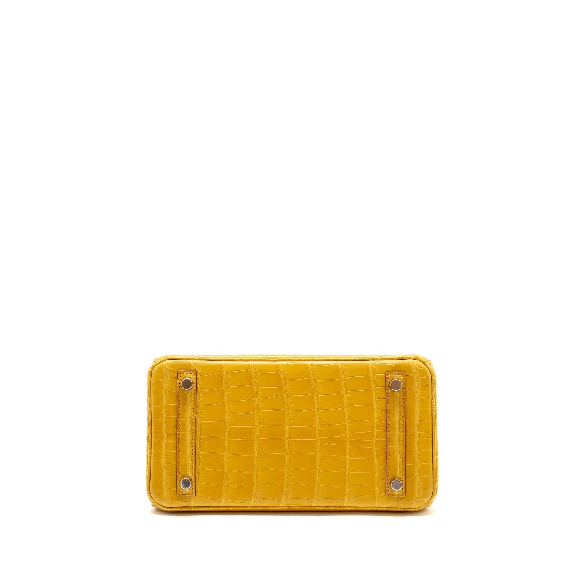 hermes-birkin-1