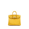 hermes-birkin-1