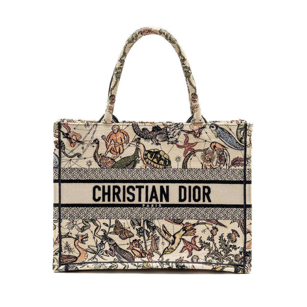dior-medium-book-tote-embroidery-canvas-multicolour