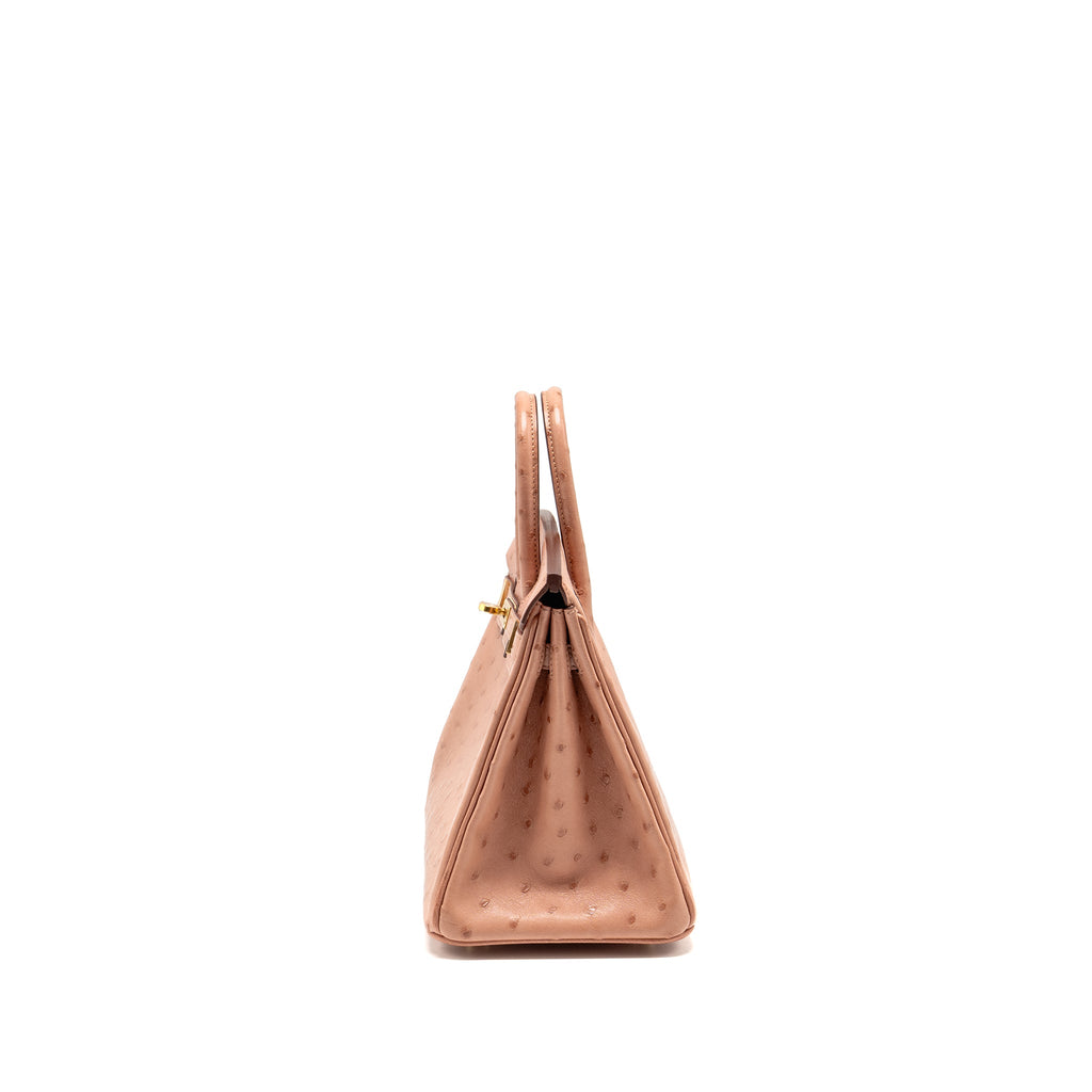 hermes-birkin-25-ostrich-94-terre-cutie-ghw-stamp-b-copy