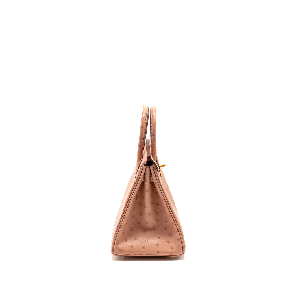 hermes-birkin-25-ostrich-94-terre-cutie-ghw-stamp-b-copy
