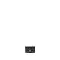 chanel-classic-flap-card-holder-caviar-black-ghwmicrochip-1