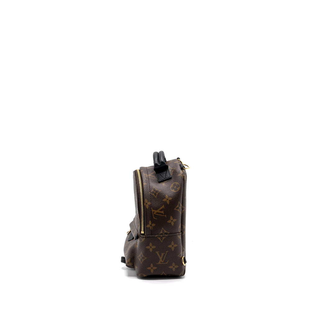 louis-vuitton-palm-spring-mini-backpack-monogram-canvas-ghw-8