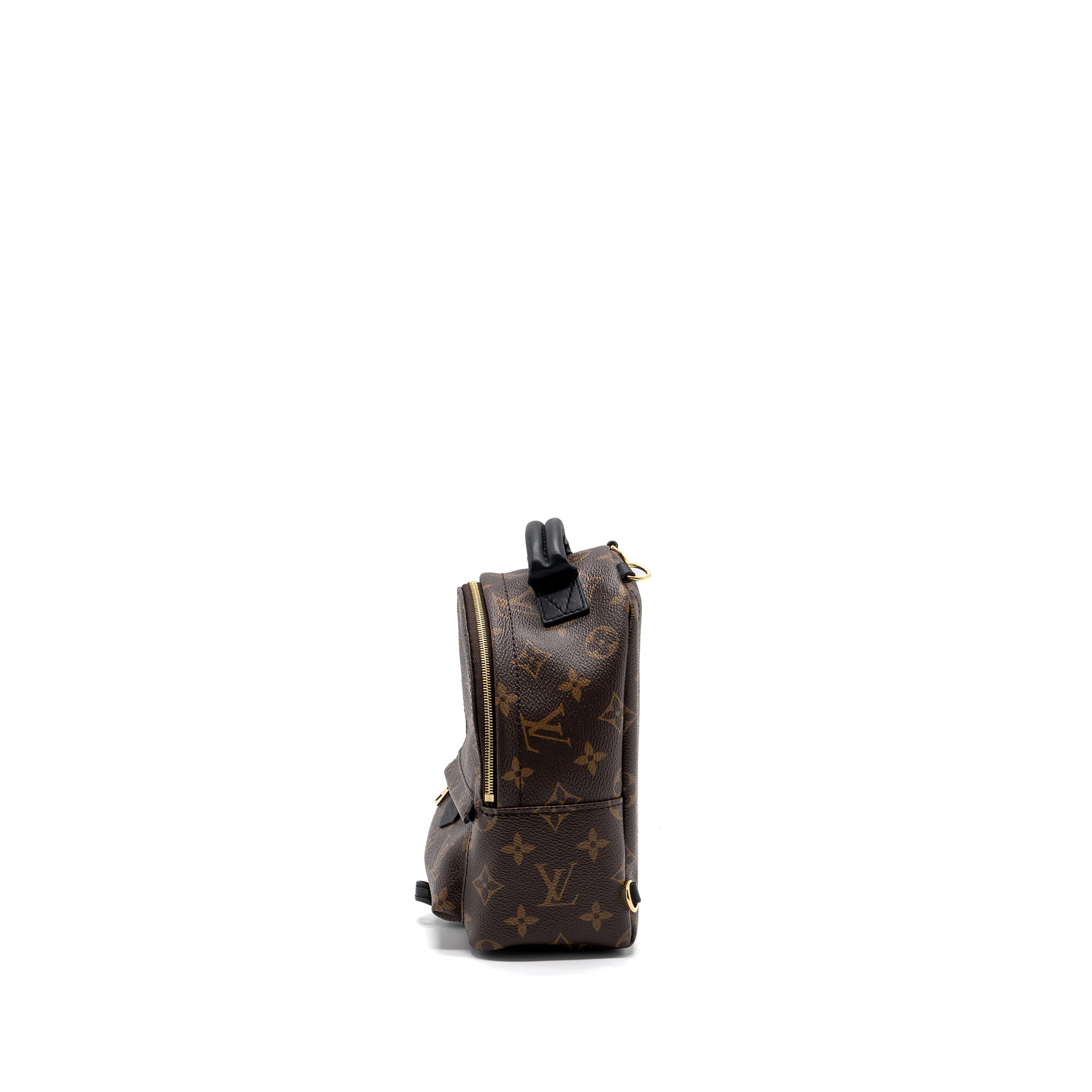 louis-vuitton-palm-spring-mini-backpack-monogram-canvas-ghw-8